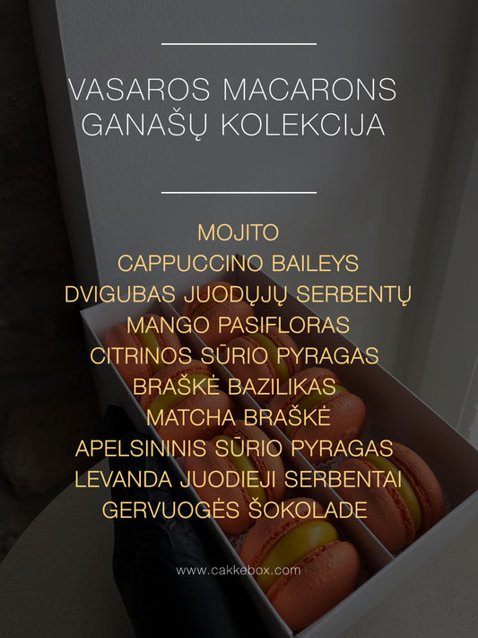 SUMMER MACARON GANACHE COLLECTION 2026